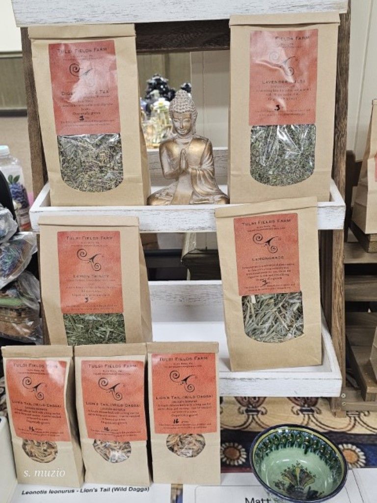 Spirit of Oneness Expo, 2025